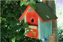 Veranstaltungsbild Vogel-Villa Kunterbunt